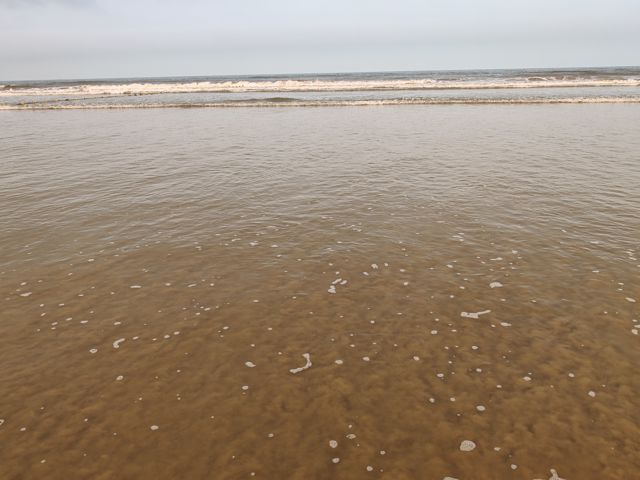 IMG_20260710_181834.jpg