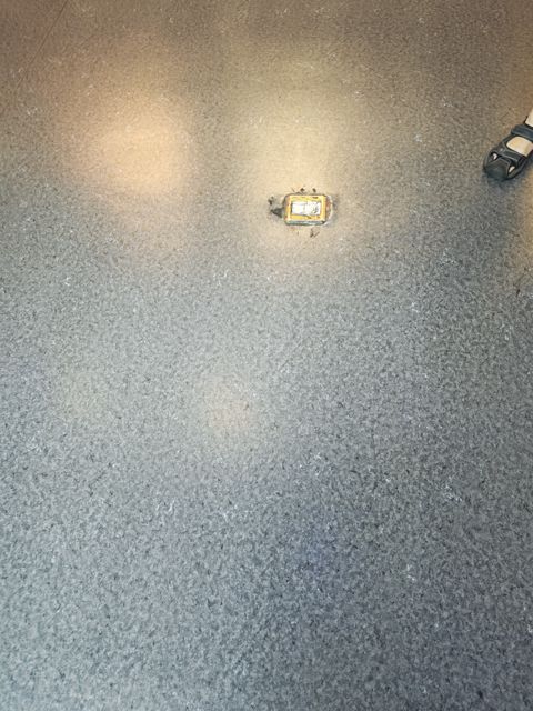 IMG_20260715_103838.jpg
